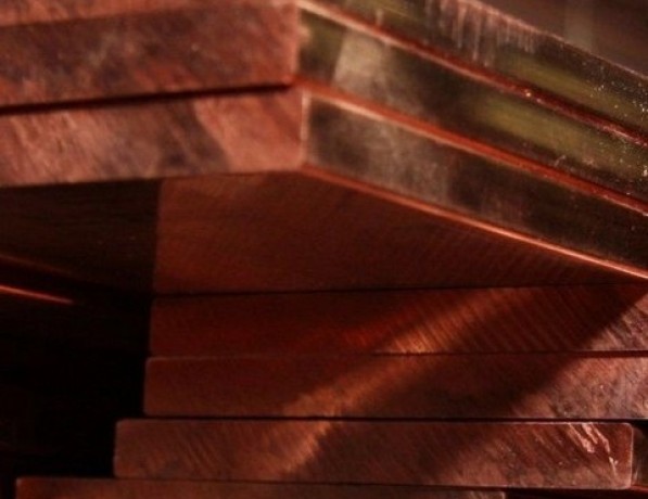 Плита медная х/к твердая М1ф 25х600 мм ГОСТ 1173-2006 фото